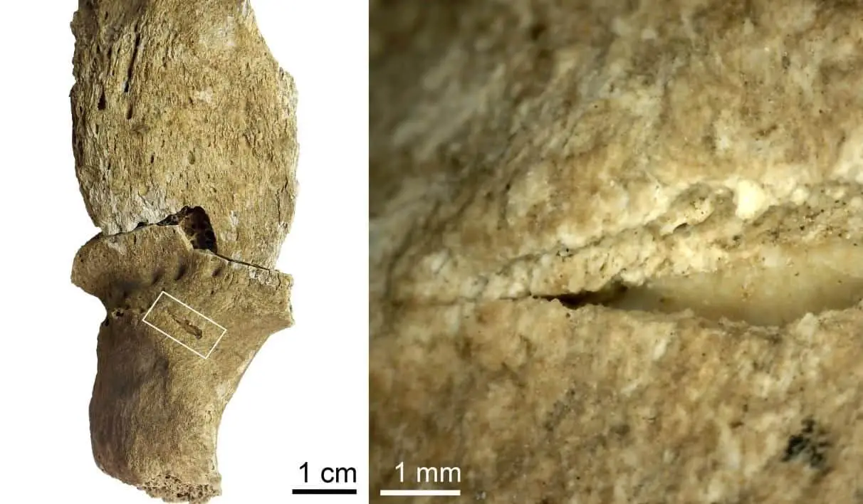 A succession of violence rather than a prehistoric war