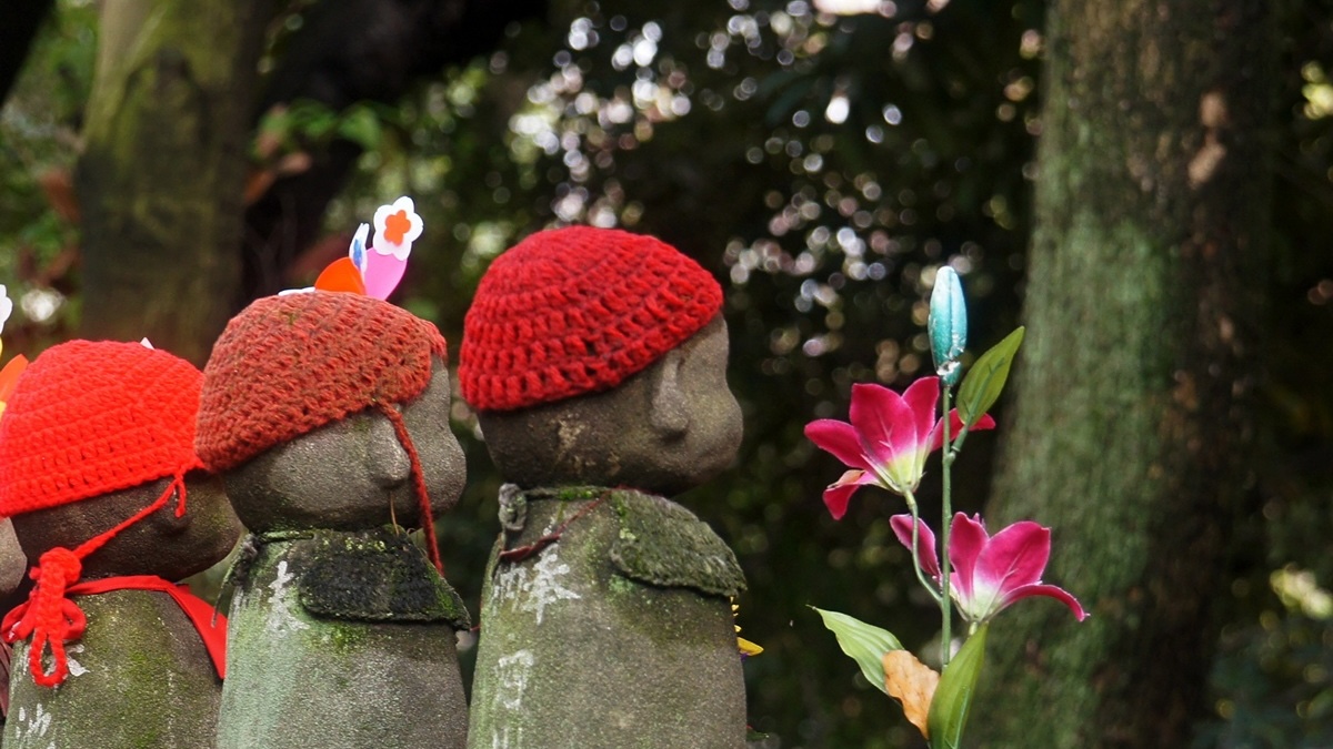 Roots of Many Miscarriages May Trace Back To Before The Mother Is Even Born : ScienceAlert