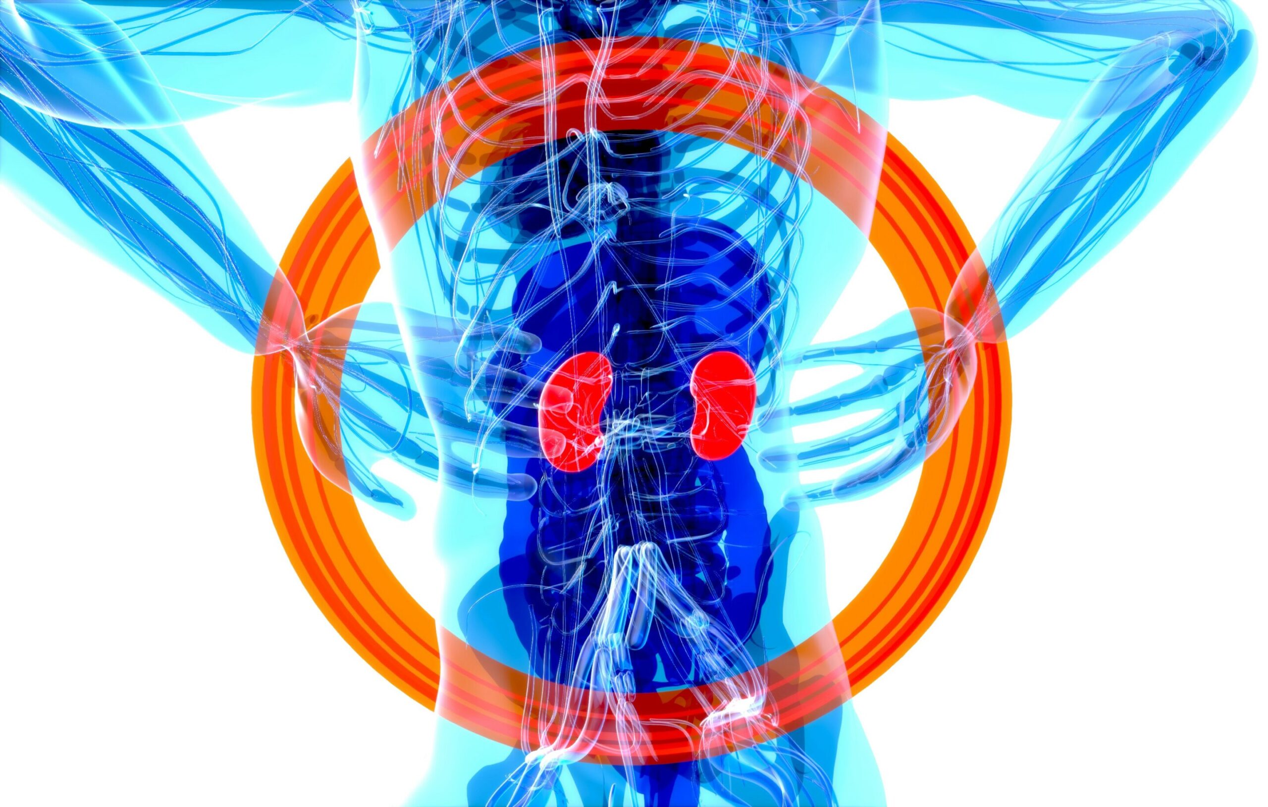 Simple method can enable early detection and prevention of chronic kidney disease