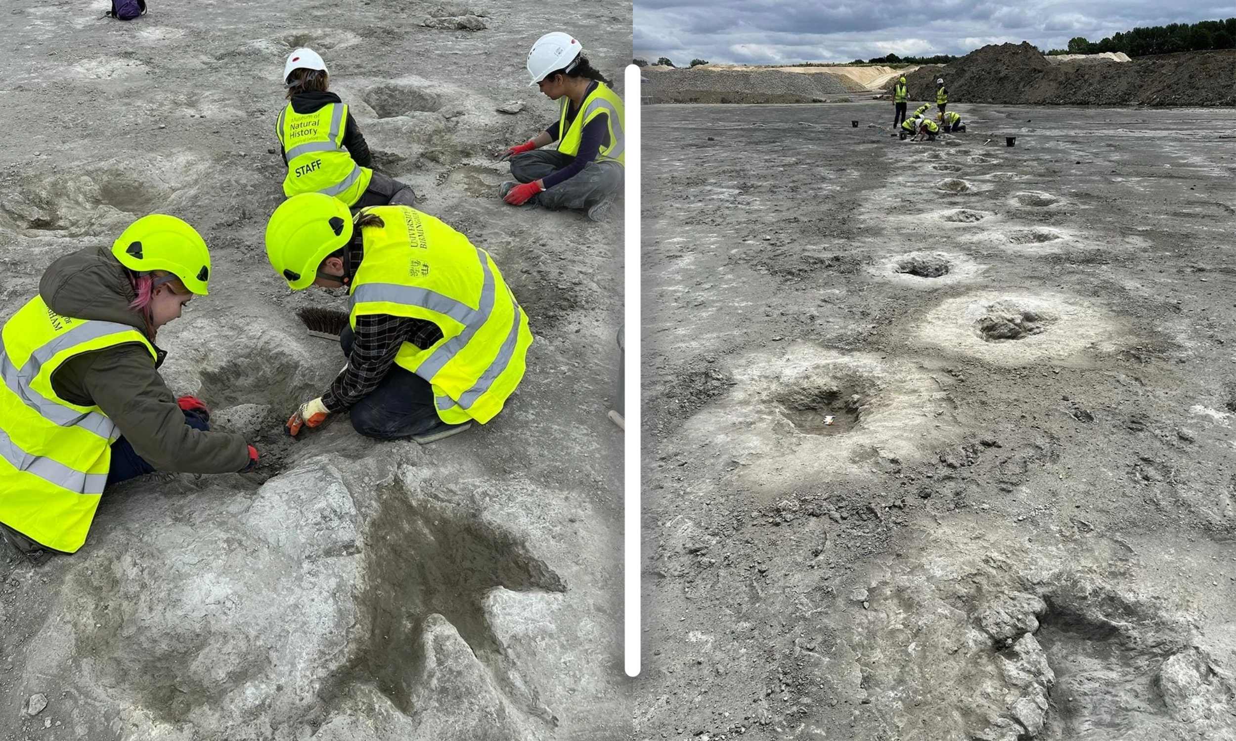 Largest dinosaur footprint site in the UK found by quarry worker