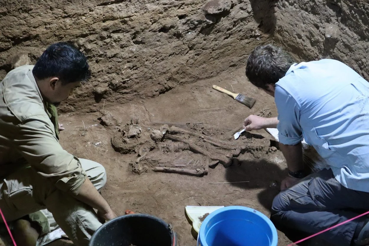 Researchers find earliest known stone-age surgery from 31,000 years ago