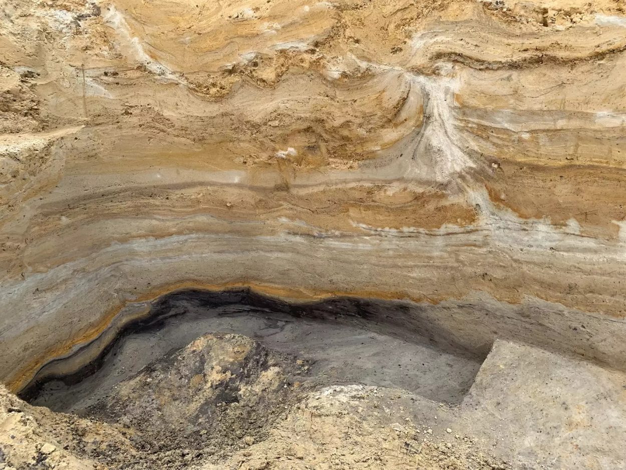 Neanderthals of the north