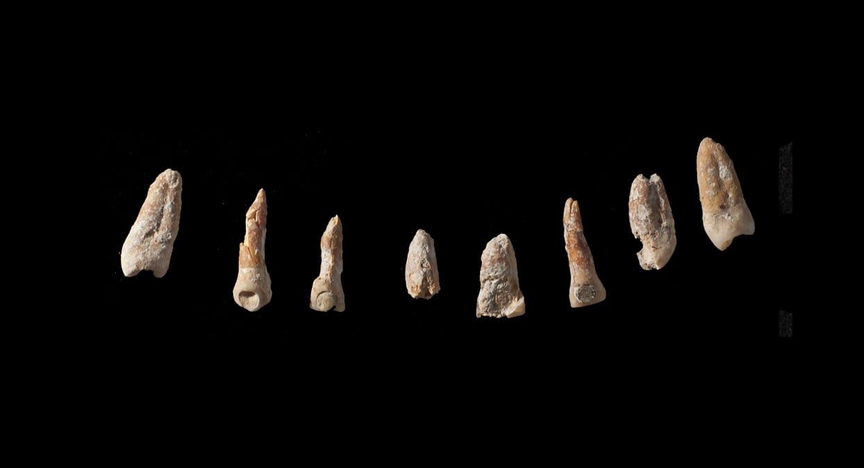 Ancient Maya Ambassador’s Bones Show Life of Privilege and Hardship