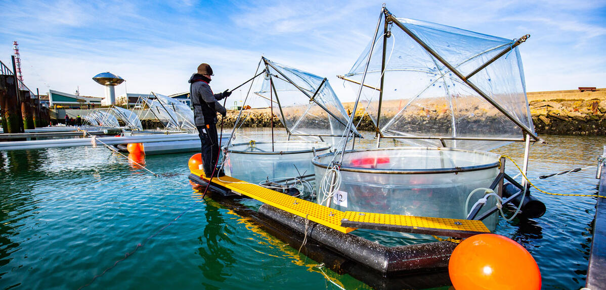 Scooping out oceanic CO₂ to make room for more