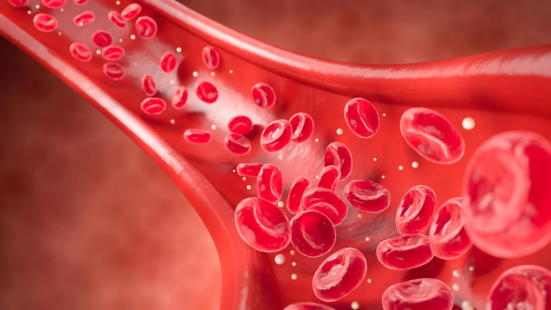 New scan spots heart disease years before symptoms