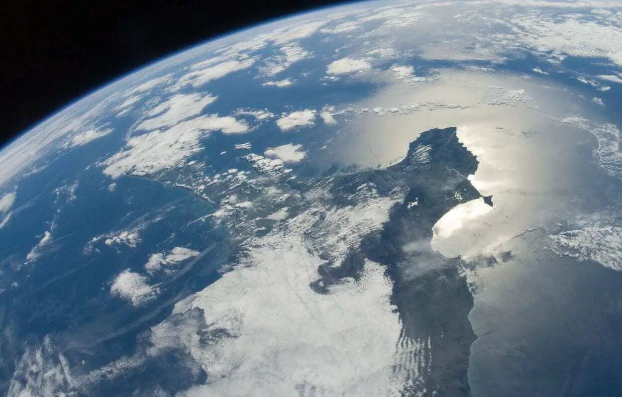 Disproportionate Extinction of South American Mammals When Americas Collided