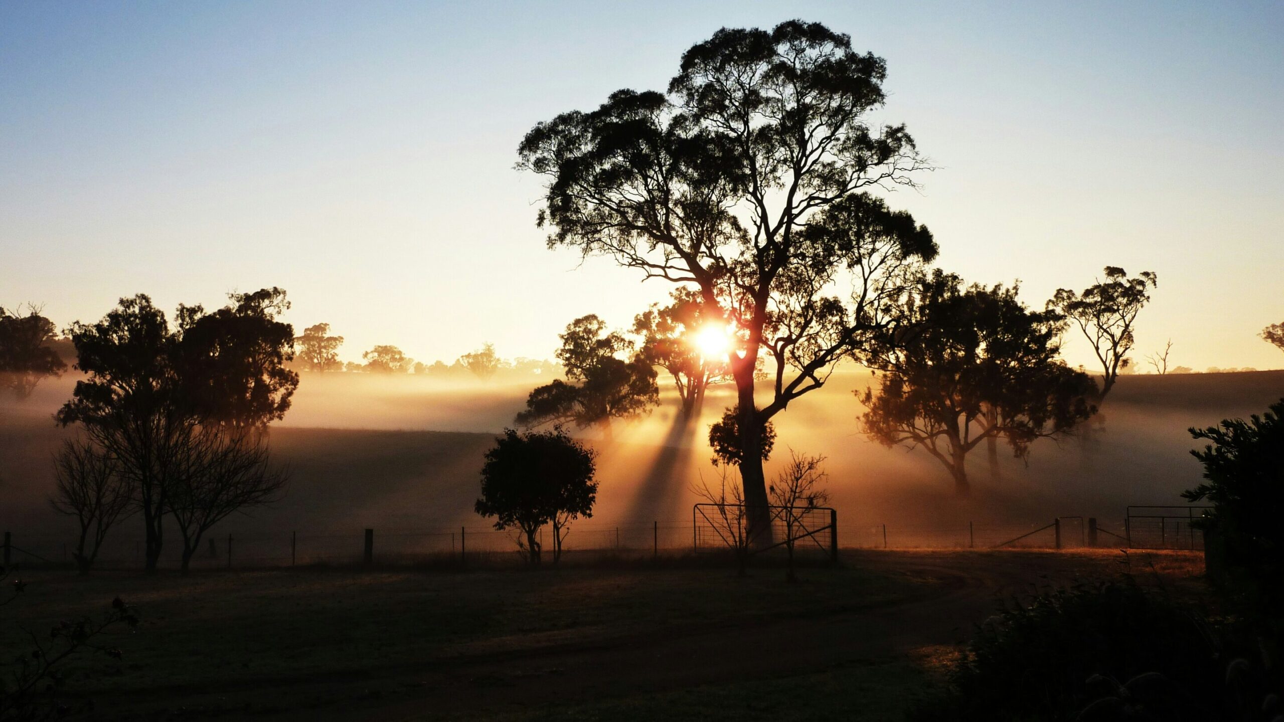 Anatomy of a heat wave: How a cyclone, humid air and atmospheric waves drove brutal heat in southeastern Australia