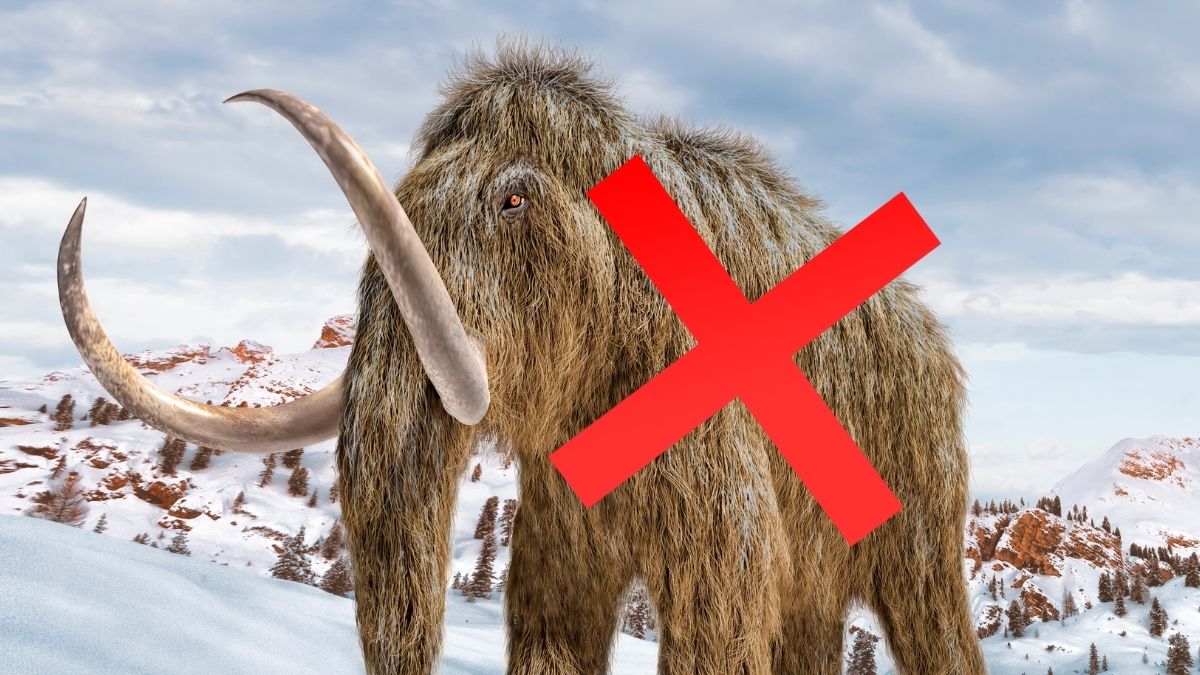 a Mammoth Mistake, Redhead Superpowers, And More! : ScienceAlert
