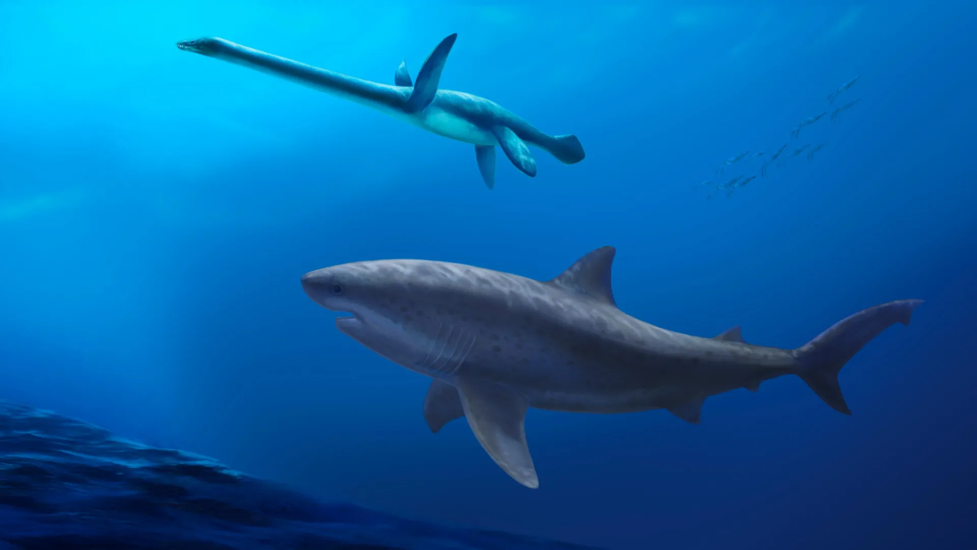 Fossils reveal a massive shark that ruled Australia in dinosaur times