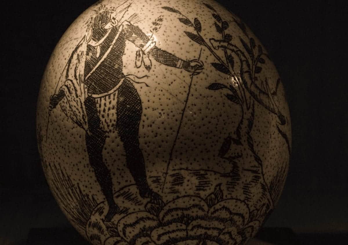 Fantastic eggs and where to find them