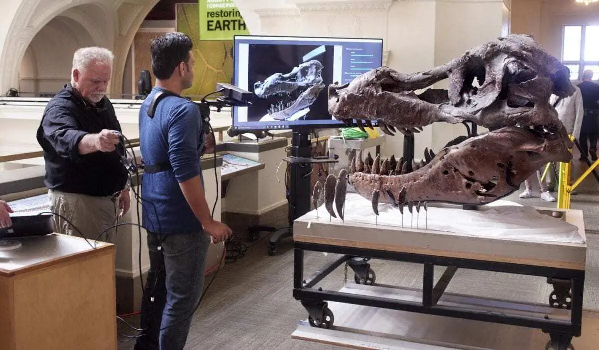 Kinect scan of T. rex skull addresses paleontological mystery
