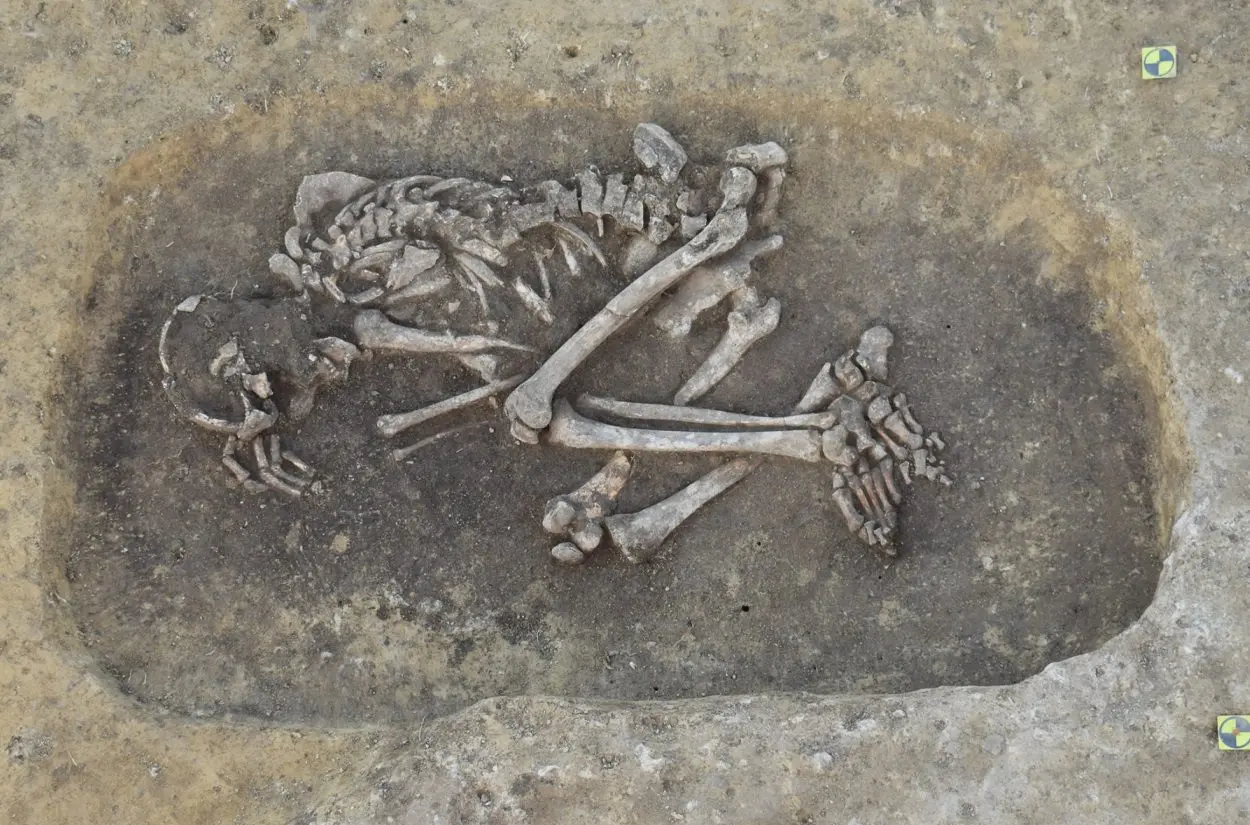 Austria’s oldest Bronze Age plague victims identified