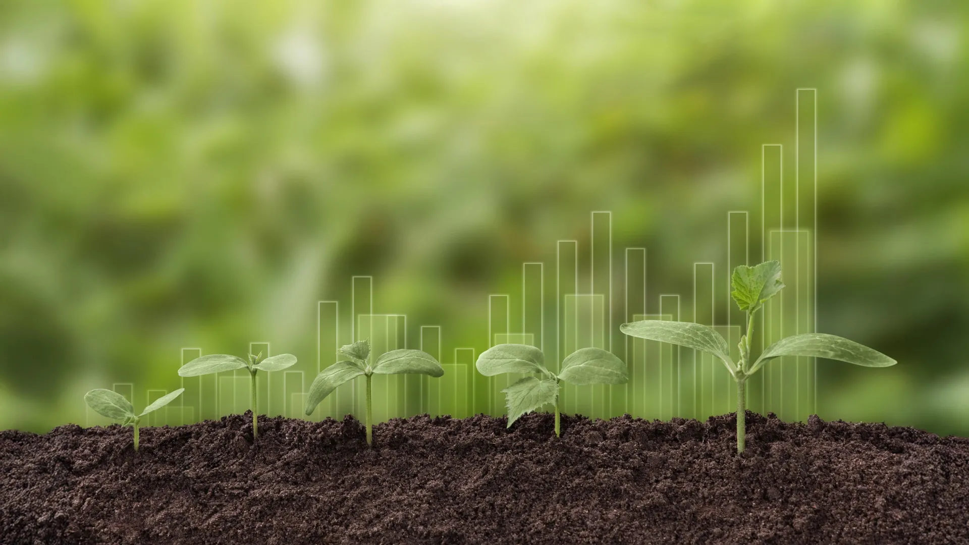 Plants can’t absorb as much CO2 as climate models predicted