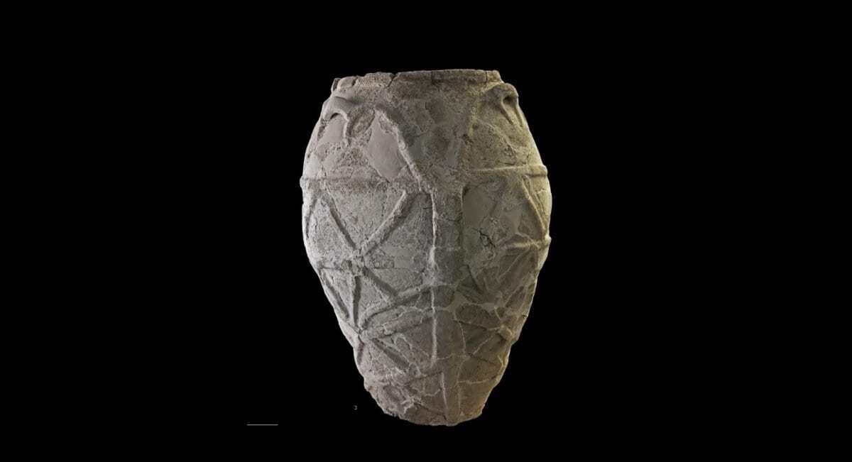 Italy’s oldest olive oil discovered in peculiar pot