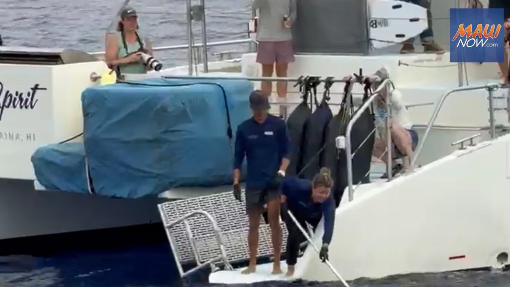 Rare discovery: Nearly intact whale placenta retrieved by Pacific Whale Foundation : Maui Now