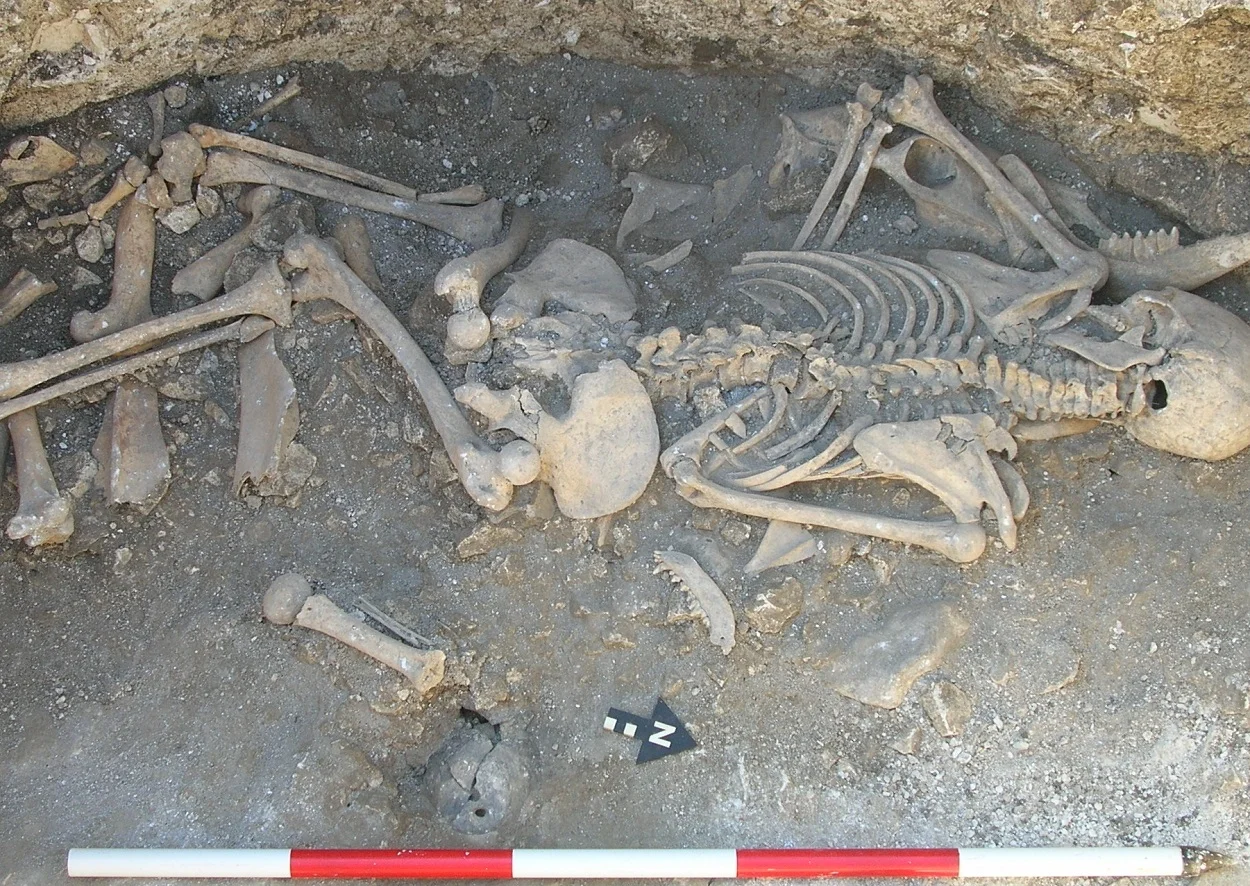 BU archaeologists uncover Iron Age victim of human sacrifice