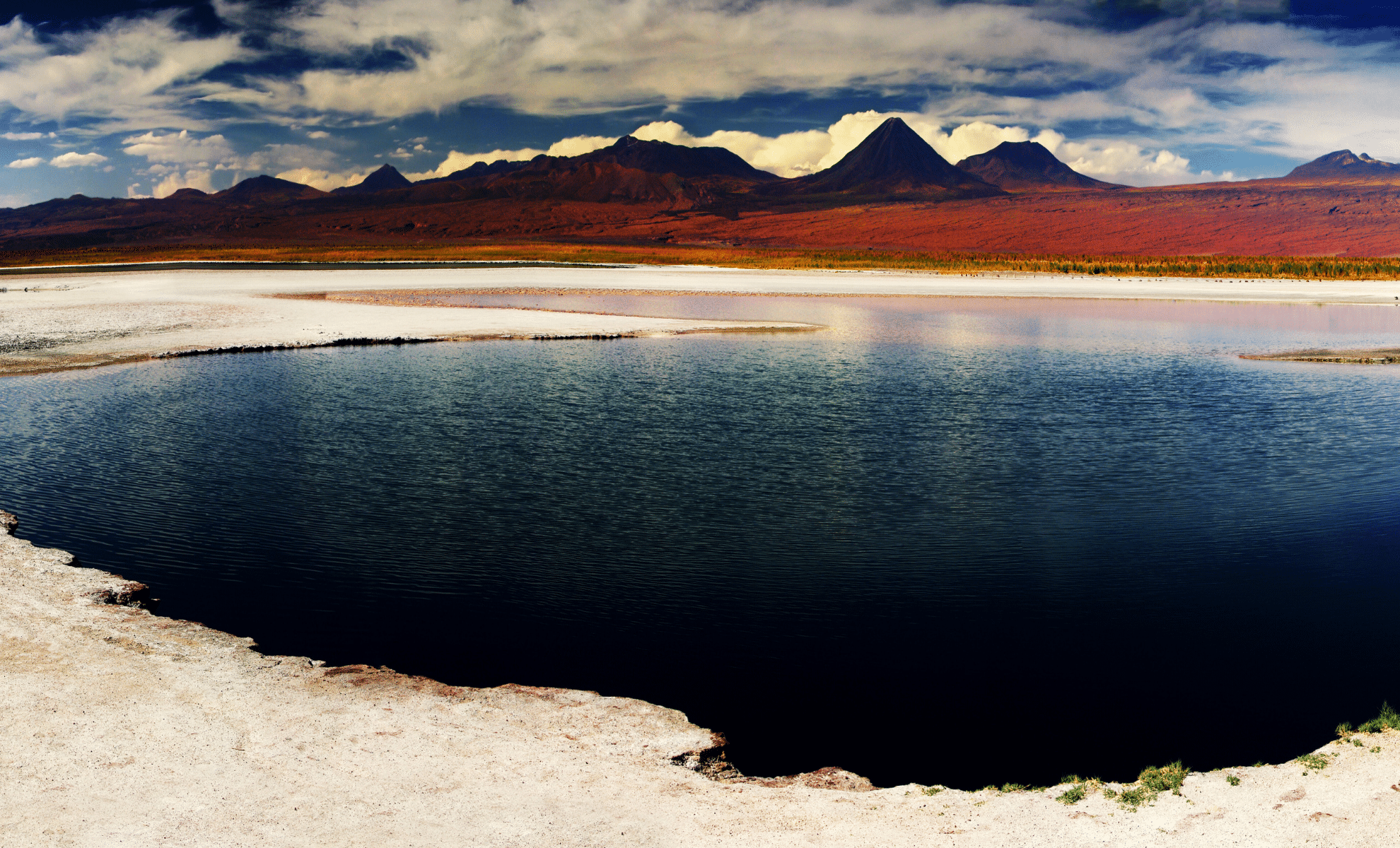Scientists Discover a Hidden World Thriving with Life in Earth’s Driest Desert
