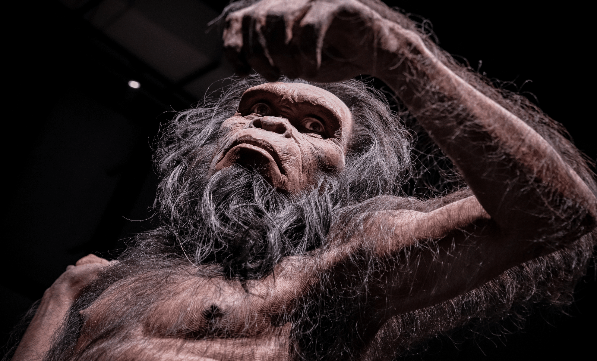 Scientists Reveal Why Humans Lost Their Fur, And It’s Not What You Think