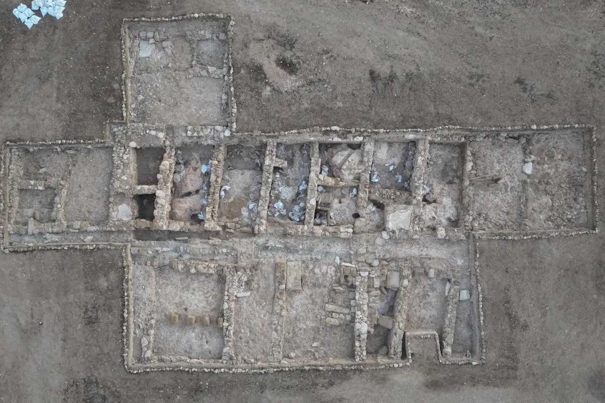 New Hellenistic discoveries at Pyla-Vigla
