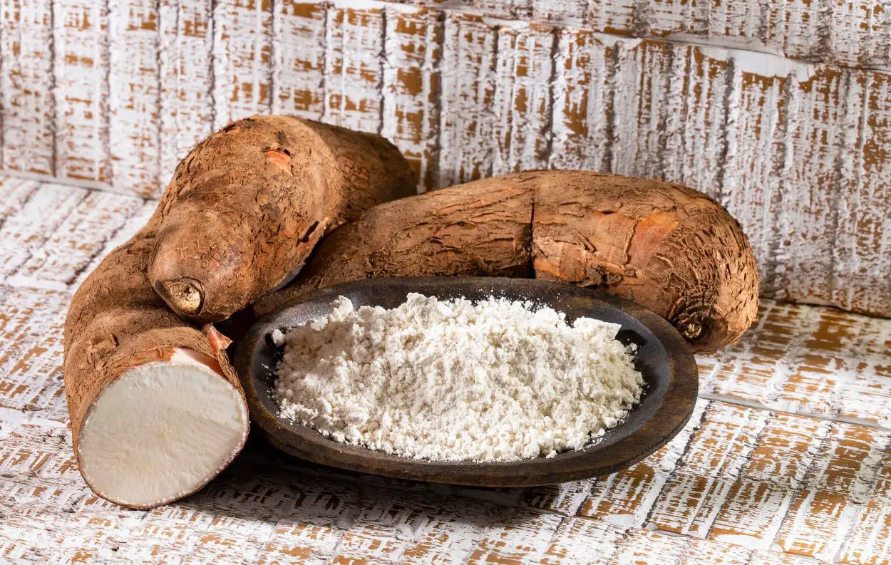 Research reveals ancient Maya lessons on surviving drought