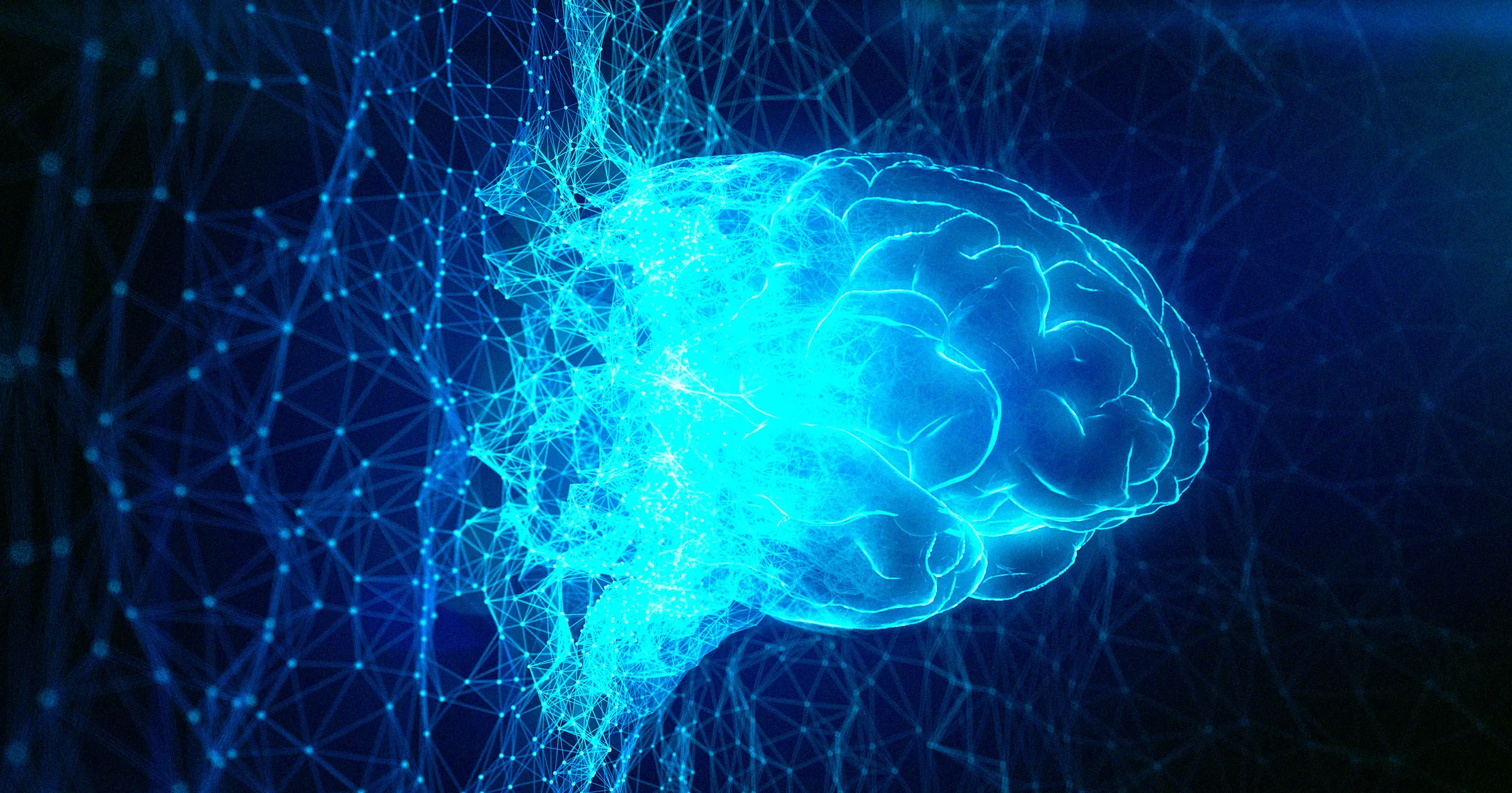 Scientists Preparing to Simulate Human Brain on Supercomputer