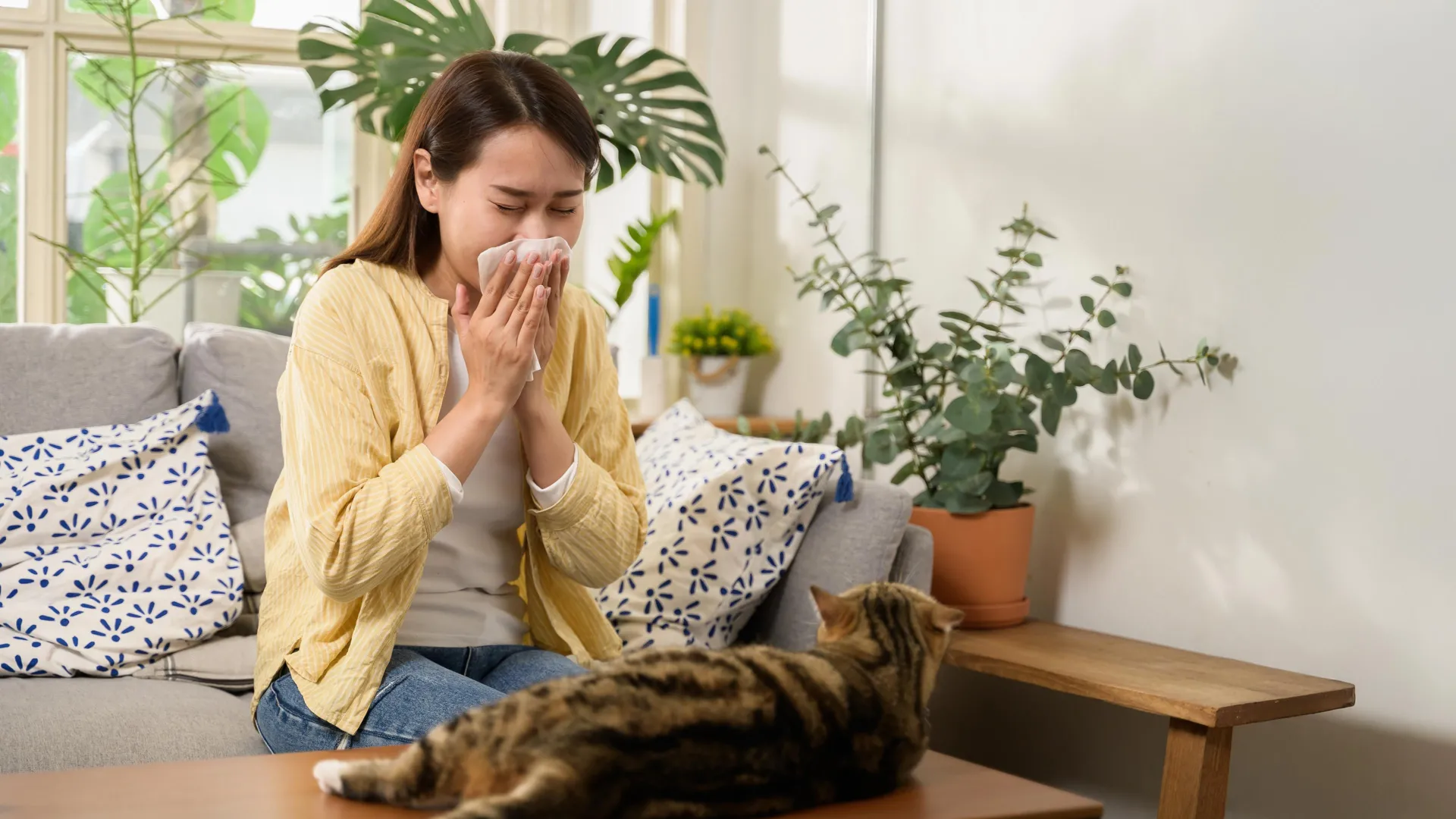 Sneezing from cats or dust? Safe UV light may neutralize allergens in minutes