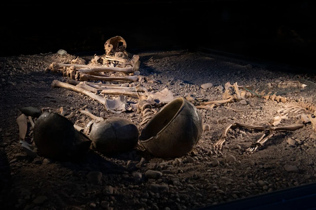 Bacterial diseases were a lethal threat during the Stone Age