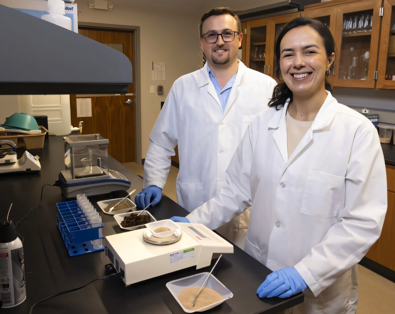 Study shows insect farming byproduct boosts soil health, reduces crop damage