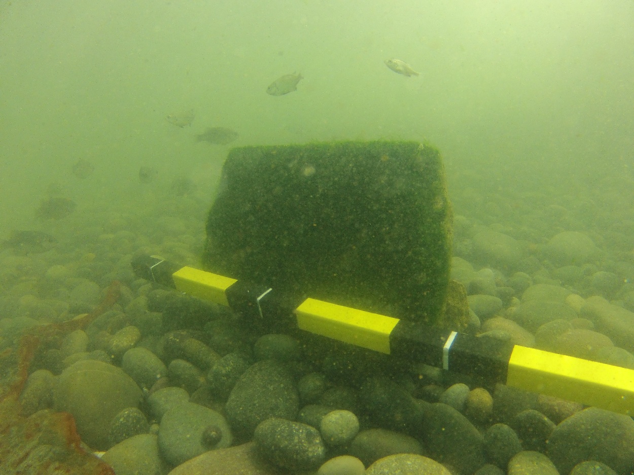 Submerged remains found at El Huarco Archaeological Complex