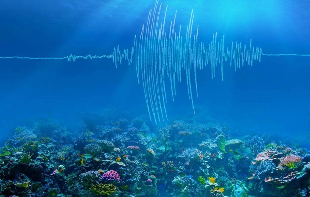Undersea Earthquakes Shake up Climate Science