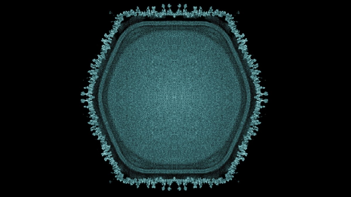 Giant Virus Discovered in Japanese Pond May Hint at Multicellular Life’s Origins : ScienceAlert