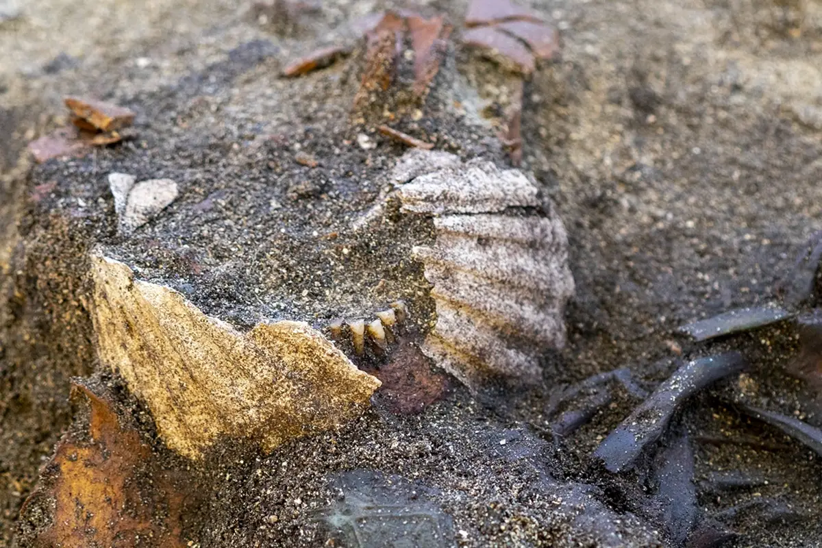 Viking Age grave unearthed in Bjugn stuns archaeologists