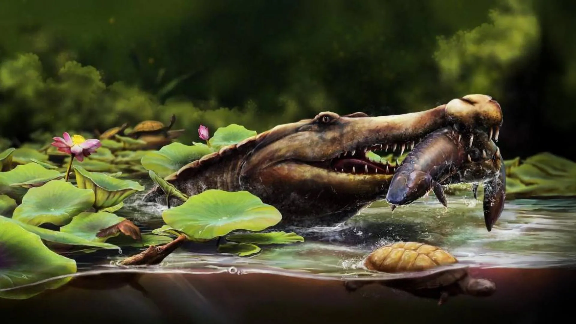 Ancient long snouted croc from Egypt rewrites evolution