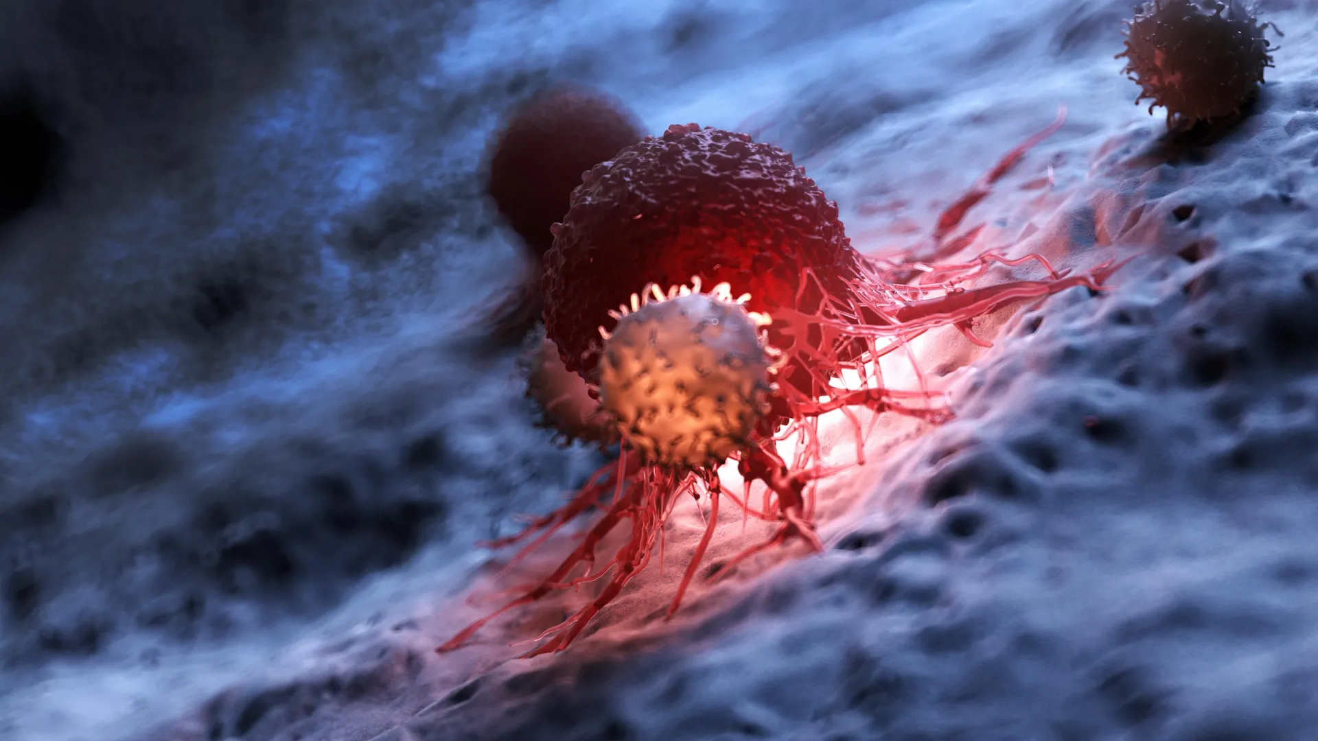 The hidden reason cancer immunotherapy often fails
