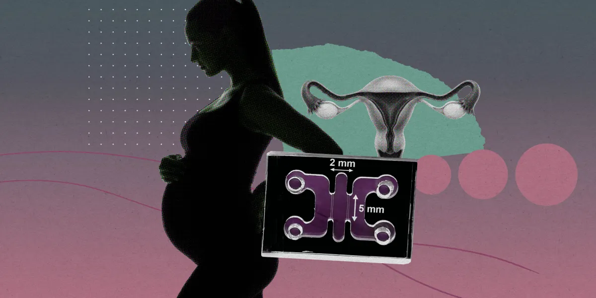 The Download: Mimicking pregnancy’s first moments in a lab, and AI parameters explained