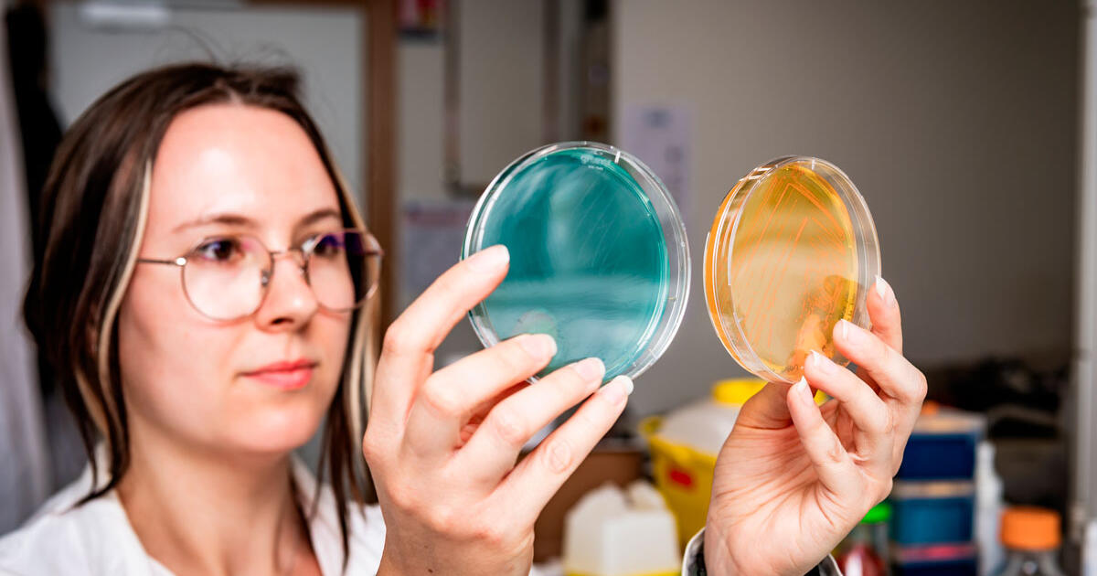 "Forever chemicals" could see their days numbered