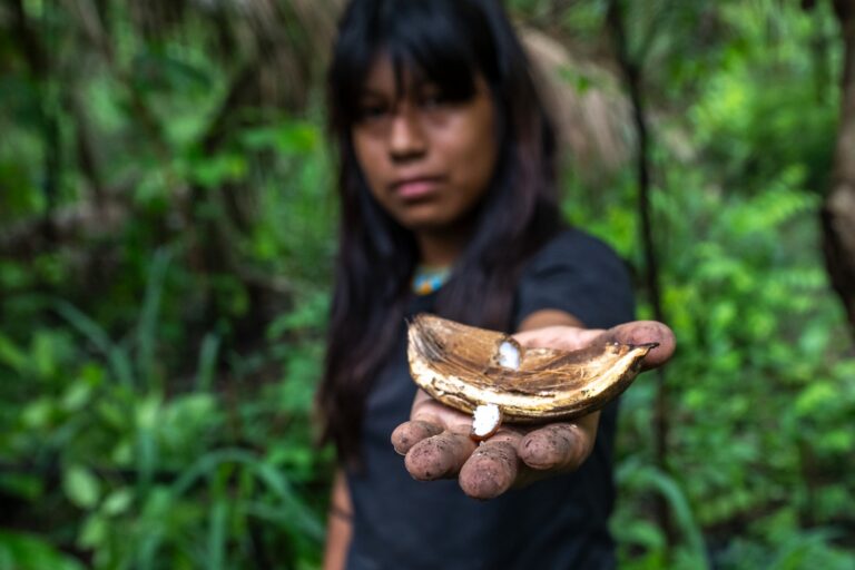 ‘We have to bring trust’ into funding talks: Valéria Paye on Indigenous-led funds