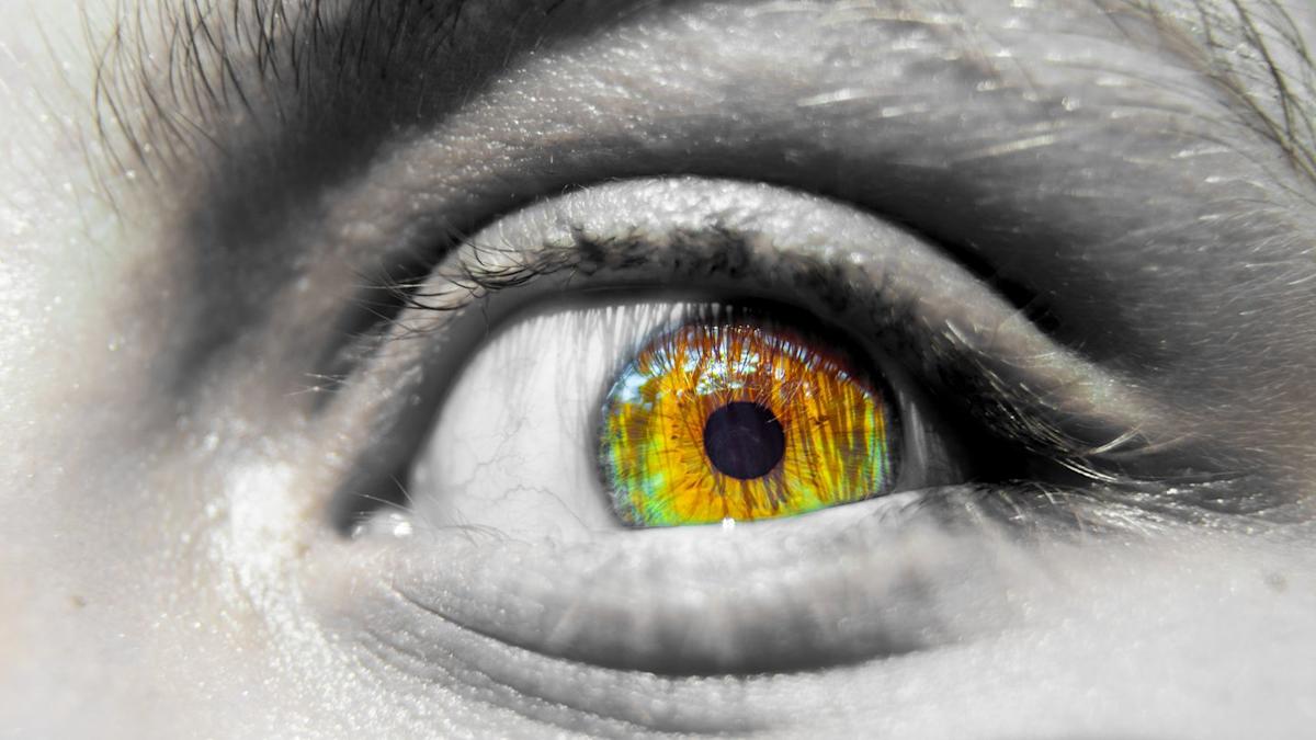 Earth’s Disastrous 10th Tipping Point Has Been Identified