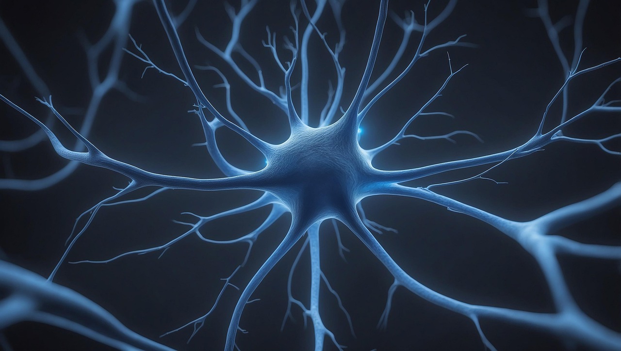 Scientists Discover Brain Switches That Boost Neprilysin and Clear Amyloid Plaques