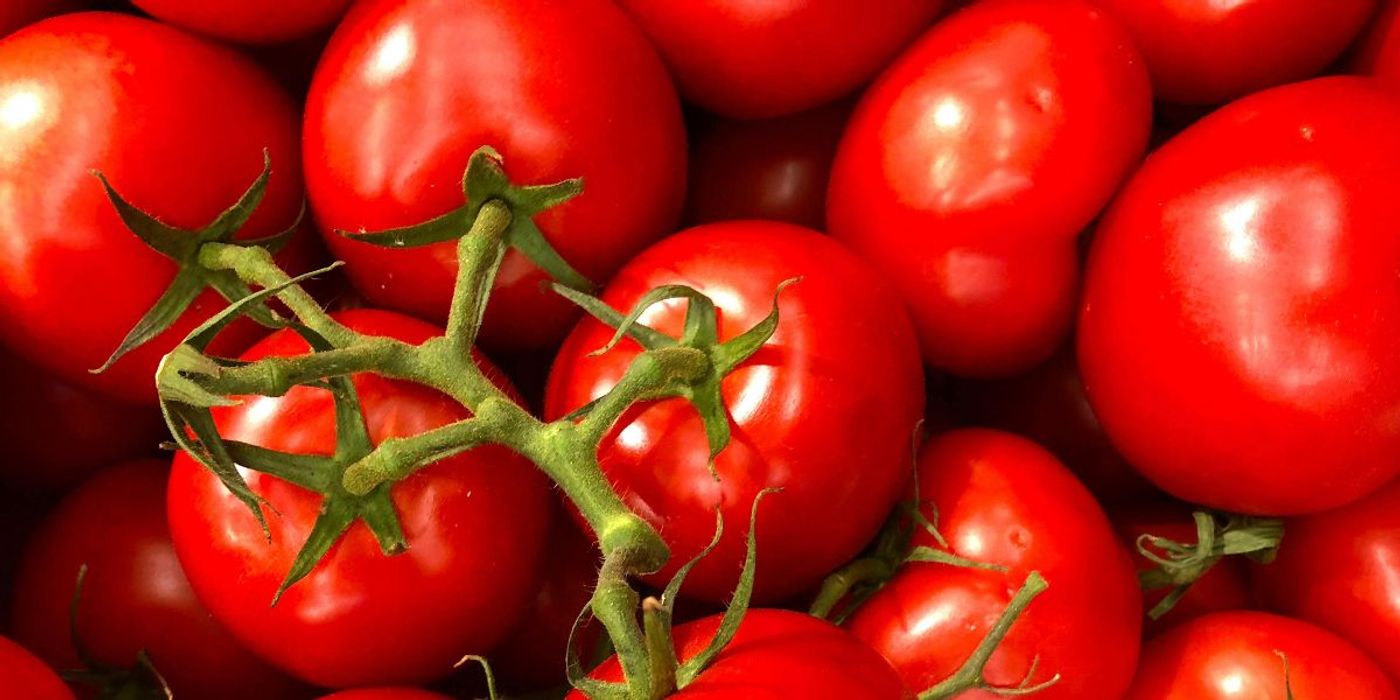 Lyocpene May Reduce Periodontitis Risk in Older White Adults