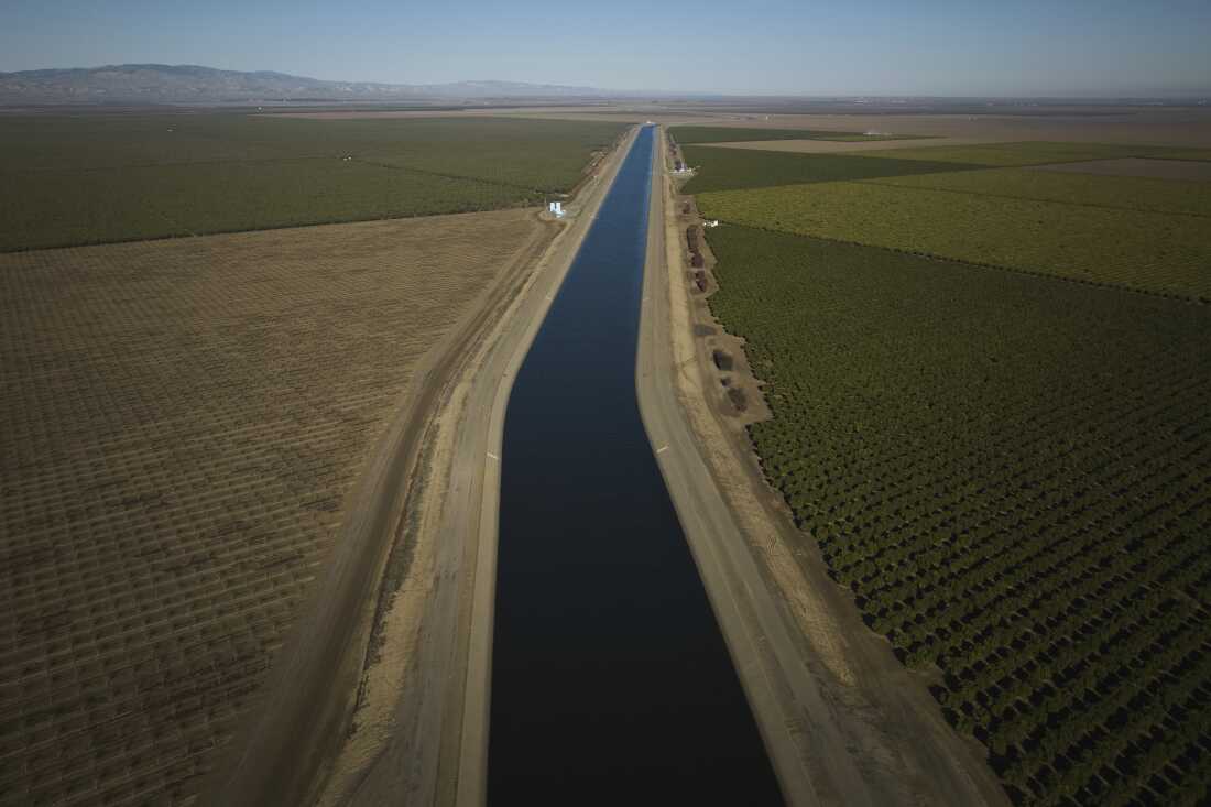 Why farmers in California are backing a giant solar farm : NPR