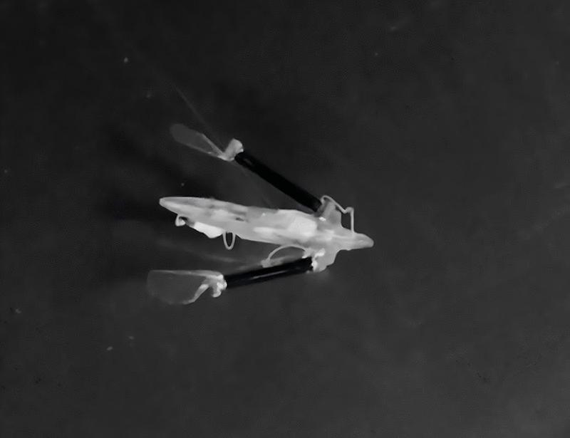 Low-voltage and high-output dielectric elastomer actuators for untethered soft machines working at 200 volts | Science Robotics