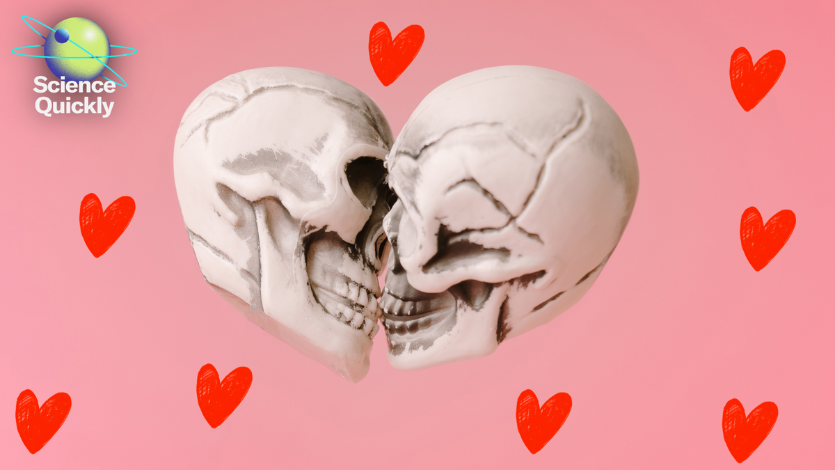 The story of the first kiss—21.5 million years ago