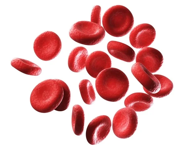 Lower hemoglobin levels within the normal range linked to better metabolic health