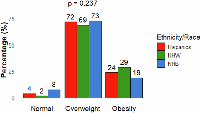 Weight stigma among diverse ethnic groups with obesity in the U.S.: the USA-OBESTIGMA study