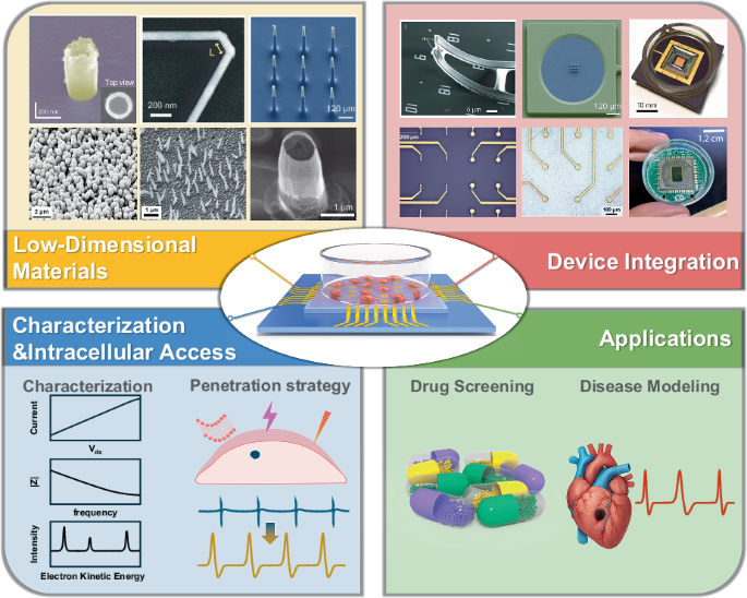Low-dimensional materials for intracellular electrophysiology: advances from synthesis to applications