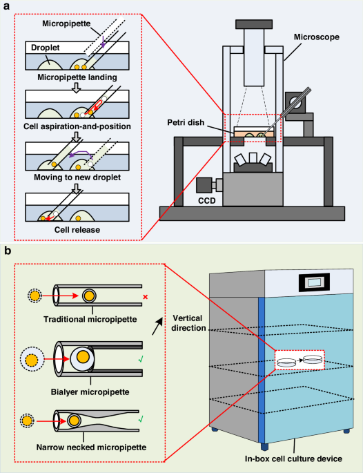 Robotic cell transportation system based on micropipette resistance modeling