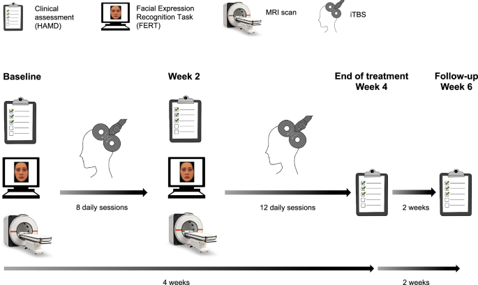 Positive bias in brain and behaviour as a mechanism of transcranial magnetic stimulation depression treatment