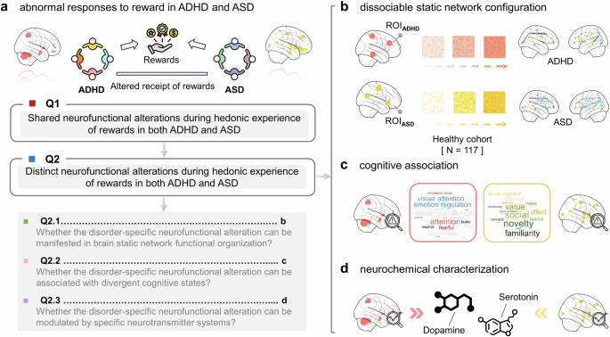 Distinct neurobiological alterations during hedonic experience of rewards in attention deficit hyperactivity disorder and autism spectrum disorder: Multimodal evidence from neuroimaging meta-analyses