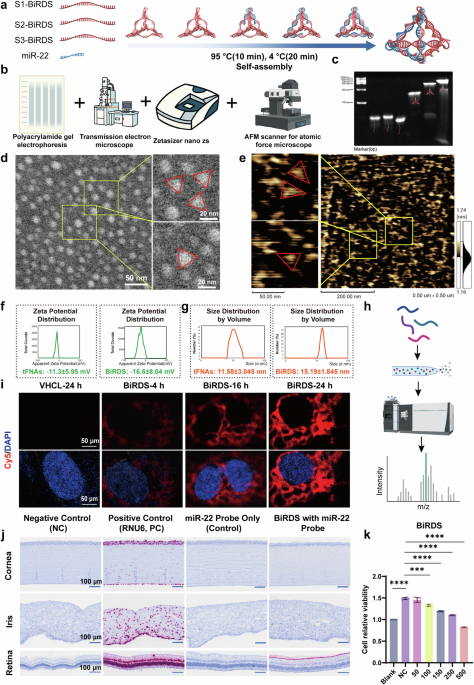 Extraocular delivery of bioswitchable tri-miR-22-loaded tetrahedral DNA nanostructures for intraocular neovascular and neurodegenerative repair